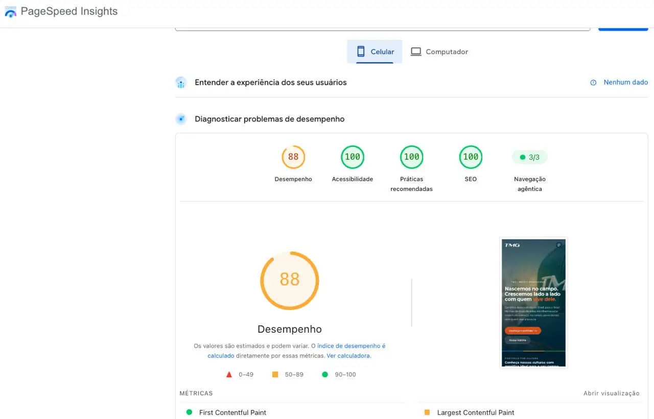 Resultado do PageSpeed Insights no celular: desempenho 88, acessibilidade 100, práticas recomendadas 100 e SEO 100